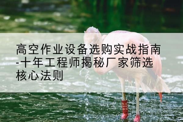 红谷滩剪叉式升降机厂家-高空作业设备选购实战指南-十年工程师揭秘厂家筛选核心法则