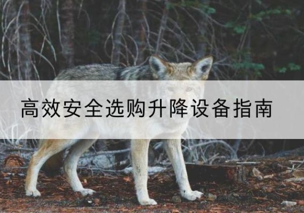 红谷滩升降货梯厂家推荐-*安全选购升降设备指南
