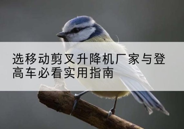 红谷滩电动升降机厂家-选移动剪叉升降机厂家与登高车必看实用指南