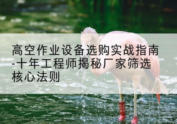 红谷滩剪叉式升降机厂家-高空作业设备选购实战指南-十年工程师揭秘厂家筛选核心法则